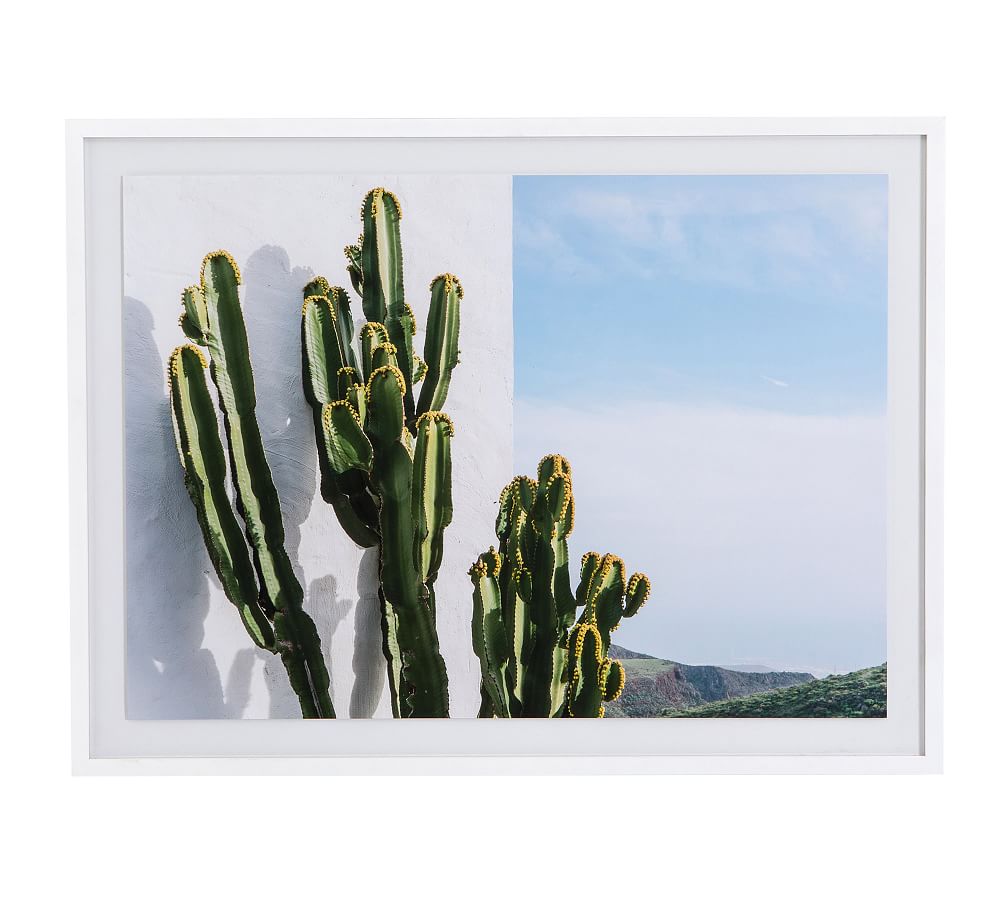 Hill Cactus Watercolor Framed Print