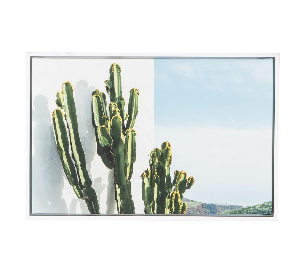 Hill Cactus Framed Canvas