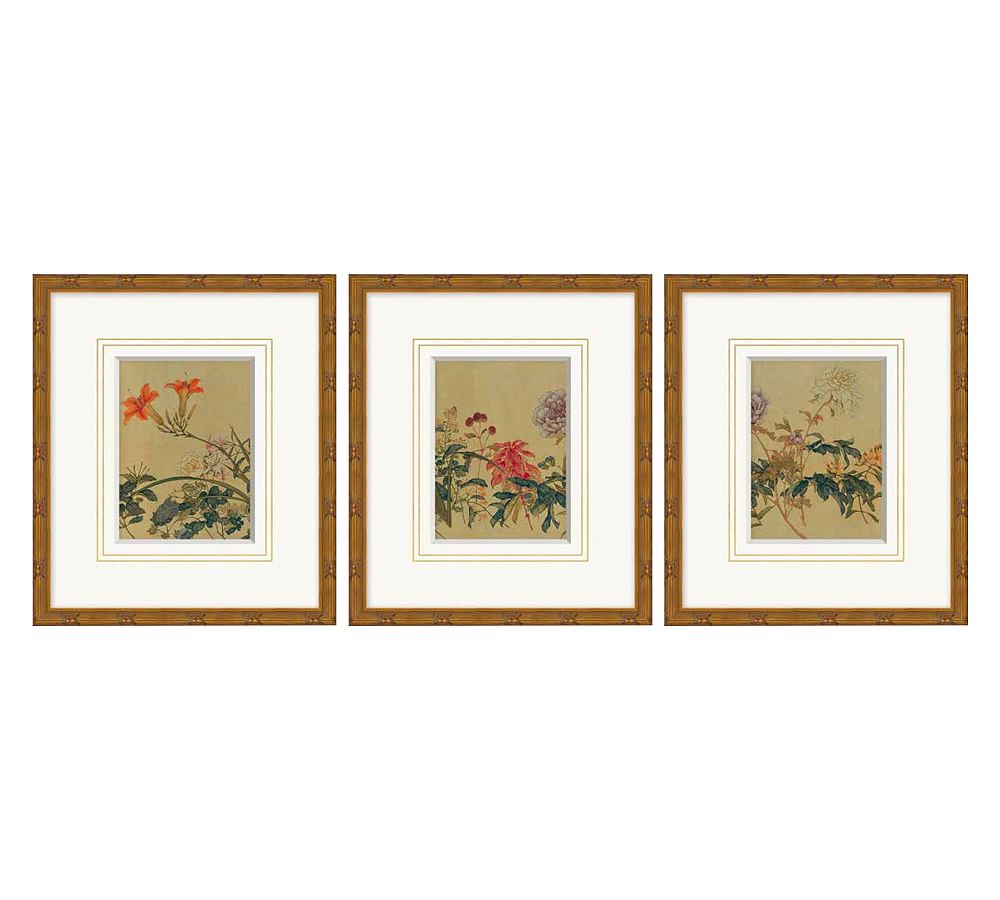 Edo Flowers Framed Prints