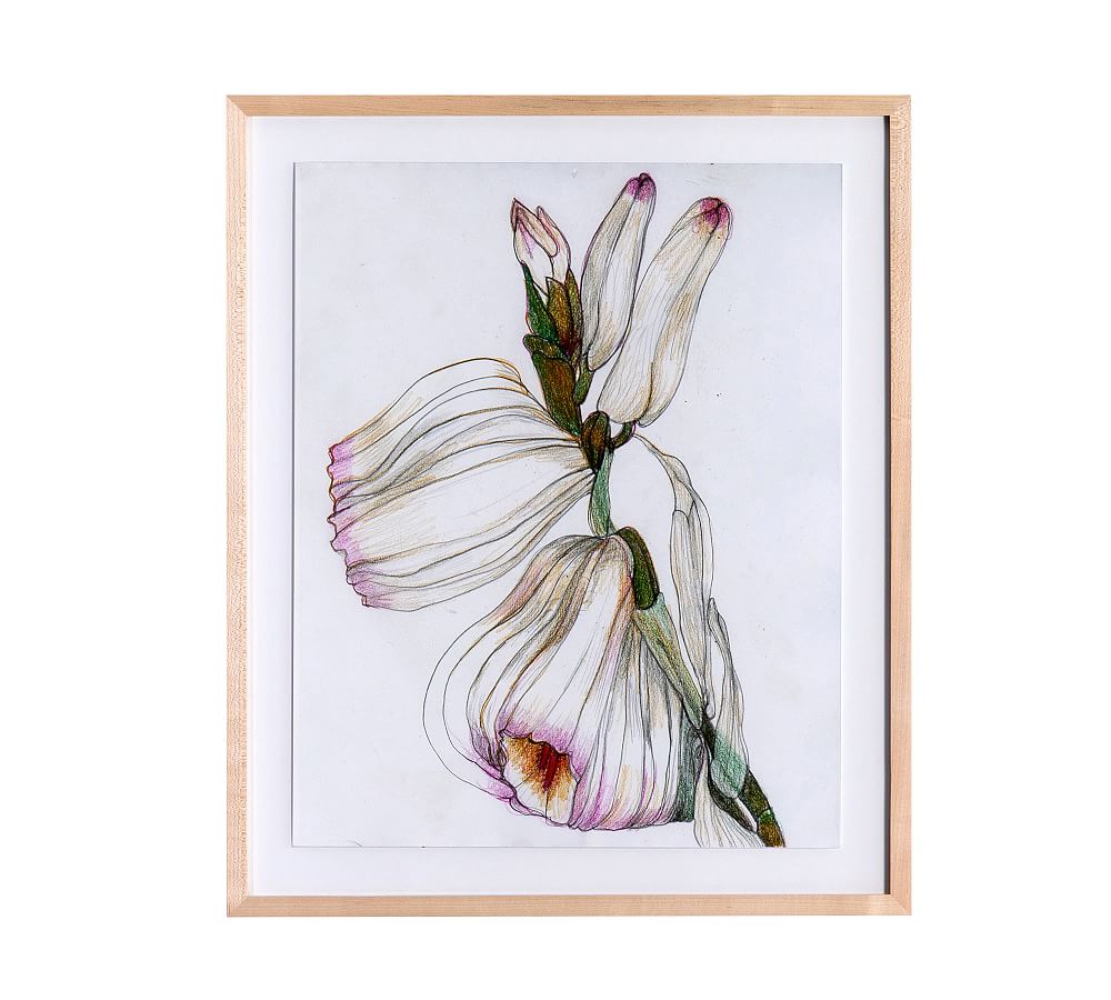Expanded Blossoms Framed Prints by Amy Bautz