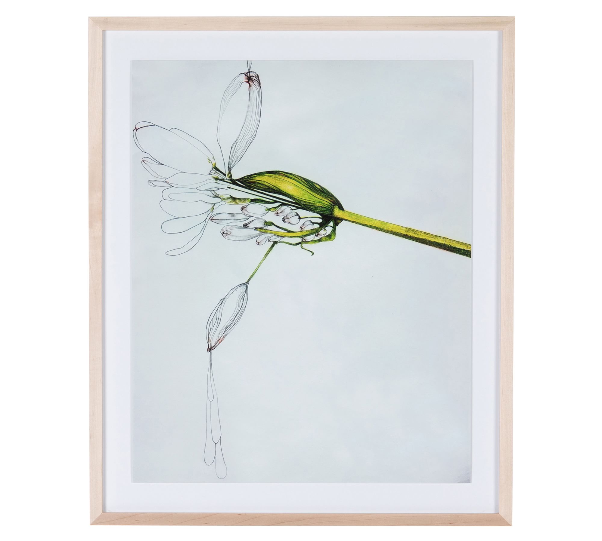 Lily Split Framed Painting by Amy Bautz