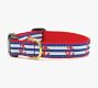 Patterned Collar with 5' Leash