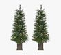 Lit Faux Potted Cashmere Trees - Set of 2