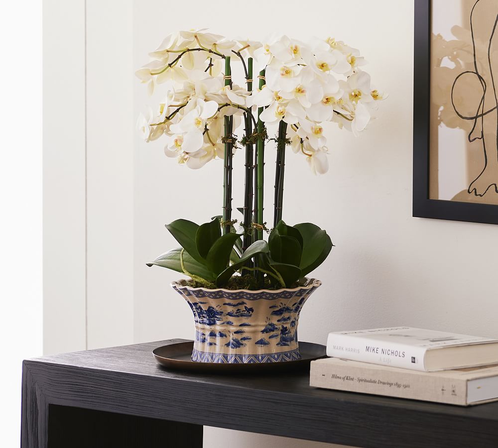 Faux Orchid Phalaenopsis in Pot