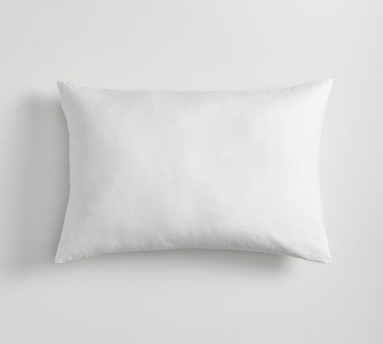 22x22 Pillow Insert Pottery Barn