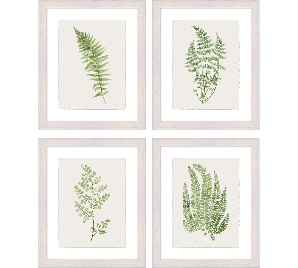 green-fern-framed-print