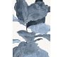 Blue Sea Oats Unframed Canvas