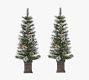 Lit Faux Potted Loveland Spruce Trees - Set of 2