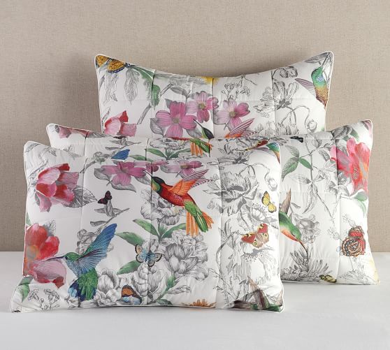 Hummingbird Cotton Comforter Sham Pottery Barn