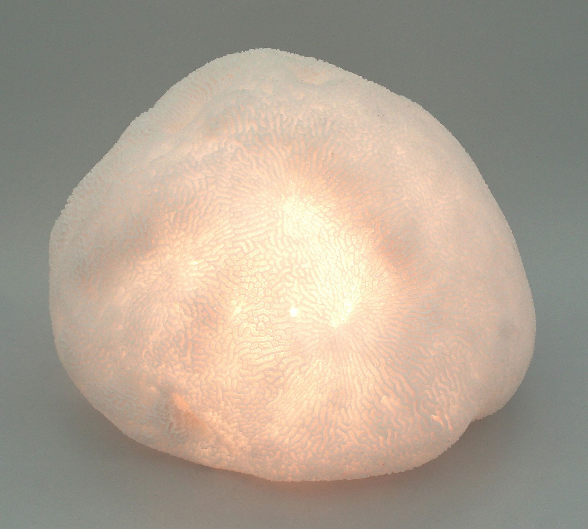 Decorative Lit Frosted Glass Coral