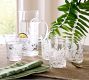 Fern Botanical Tumblers