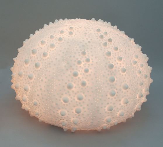 Decorative Lit Frosted Glass Sea Urchin | Pottery Barn