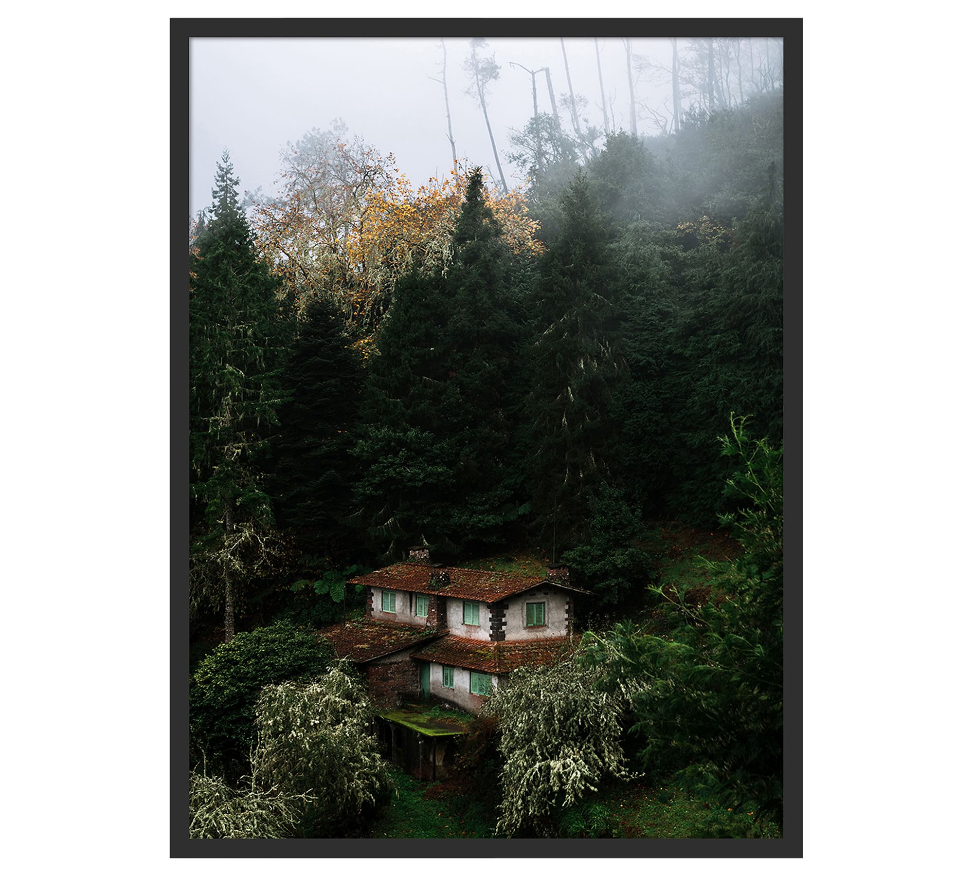 House The Woods By Michael Schauer