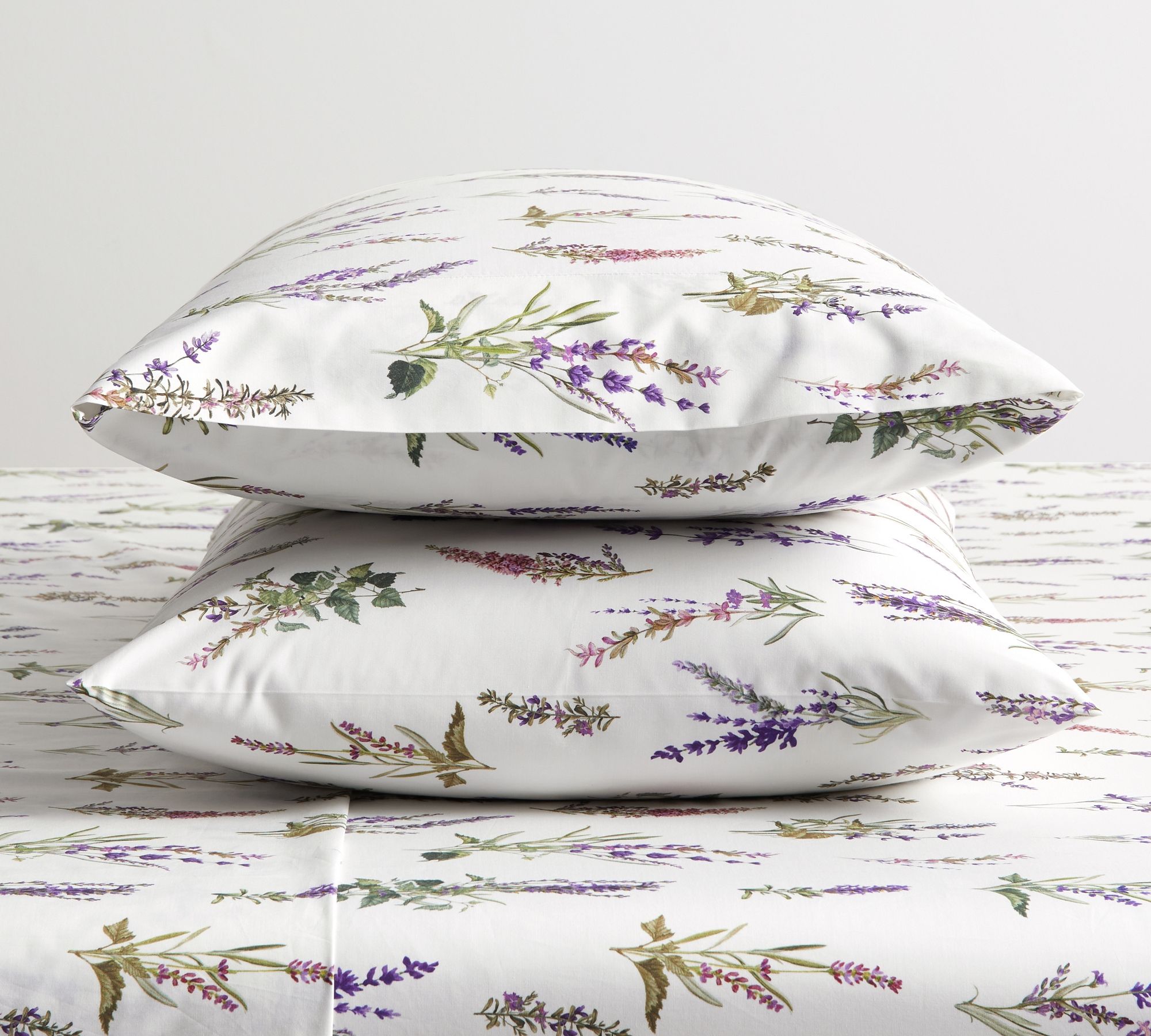 Monique Lhuillier Provence Percale Pillowcases - Set of 2