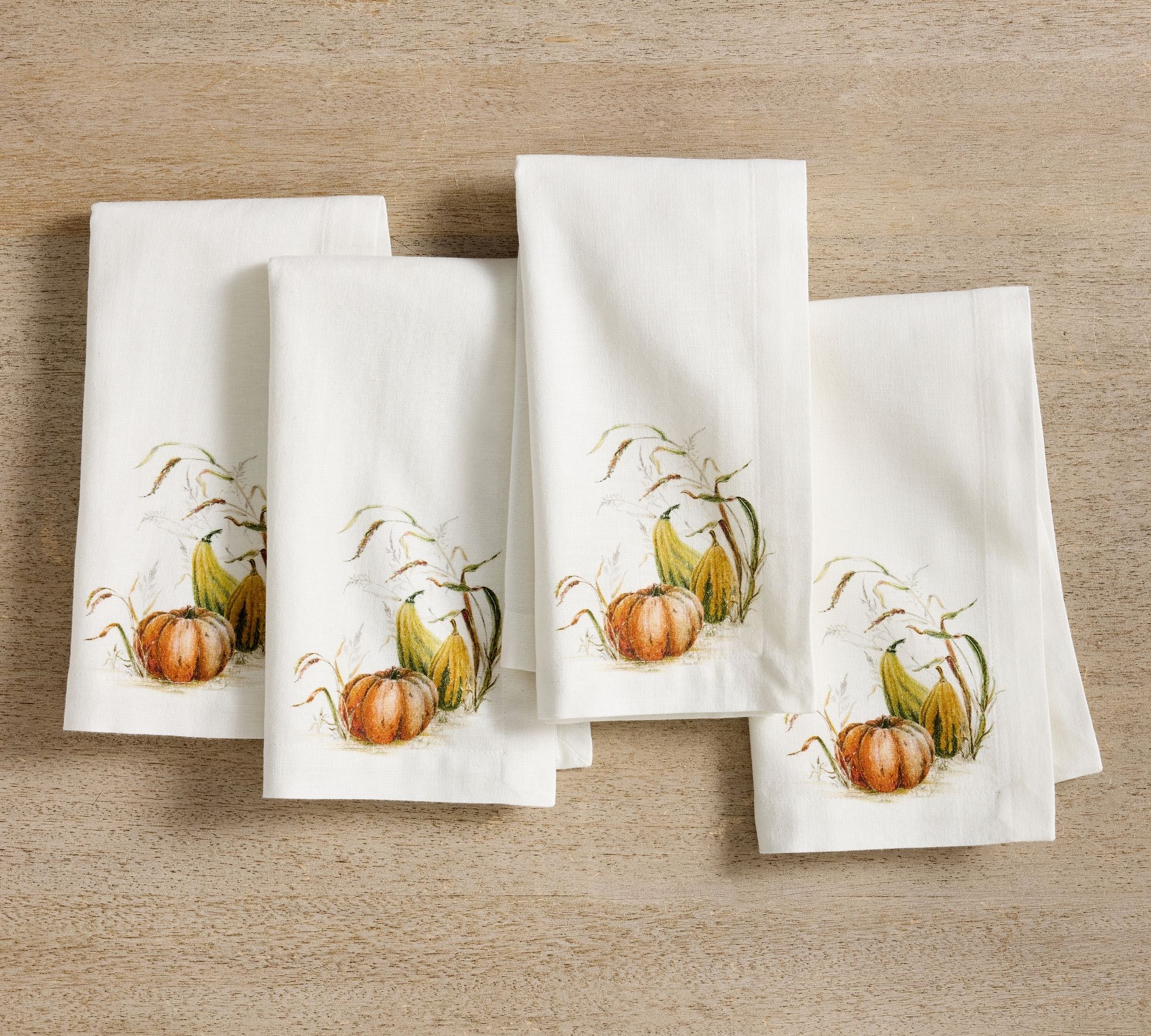 Bedford Harvest Gourd Cotton/Linen Napkins - Set of 4