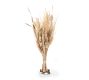Dried Fall Grain Wheat Bouquet