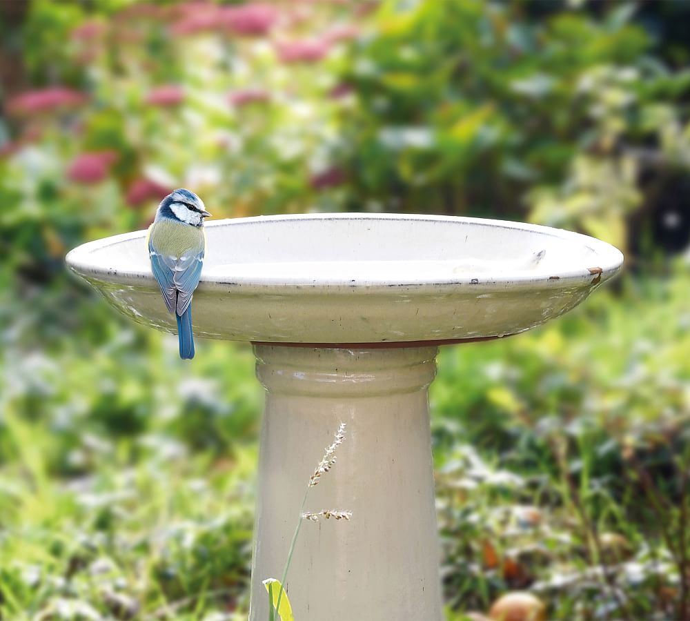 Sunna Bird Bath - 18