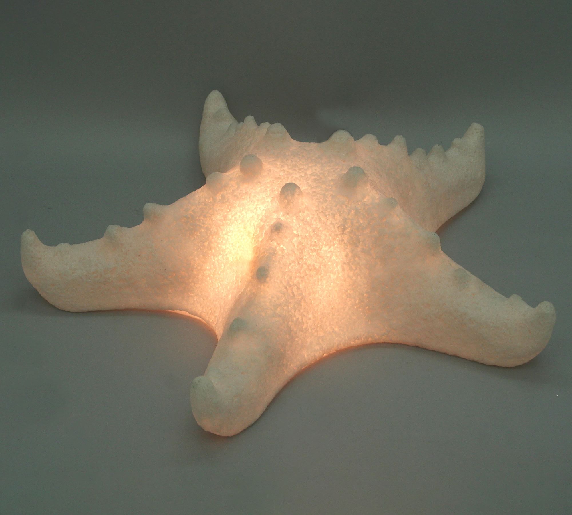 Decorative Lit Frosted Glass Starfish