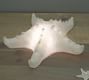 Decorative Lit Frosted Glass Starfish