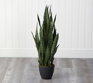 Sansevieria Faux Plant | Pottery Barn