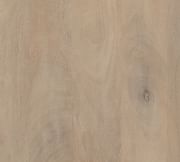 Contemporary 60'' Natural Mango Wood Home Office Desk with Drawers