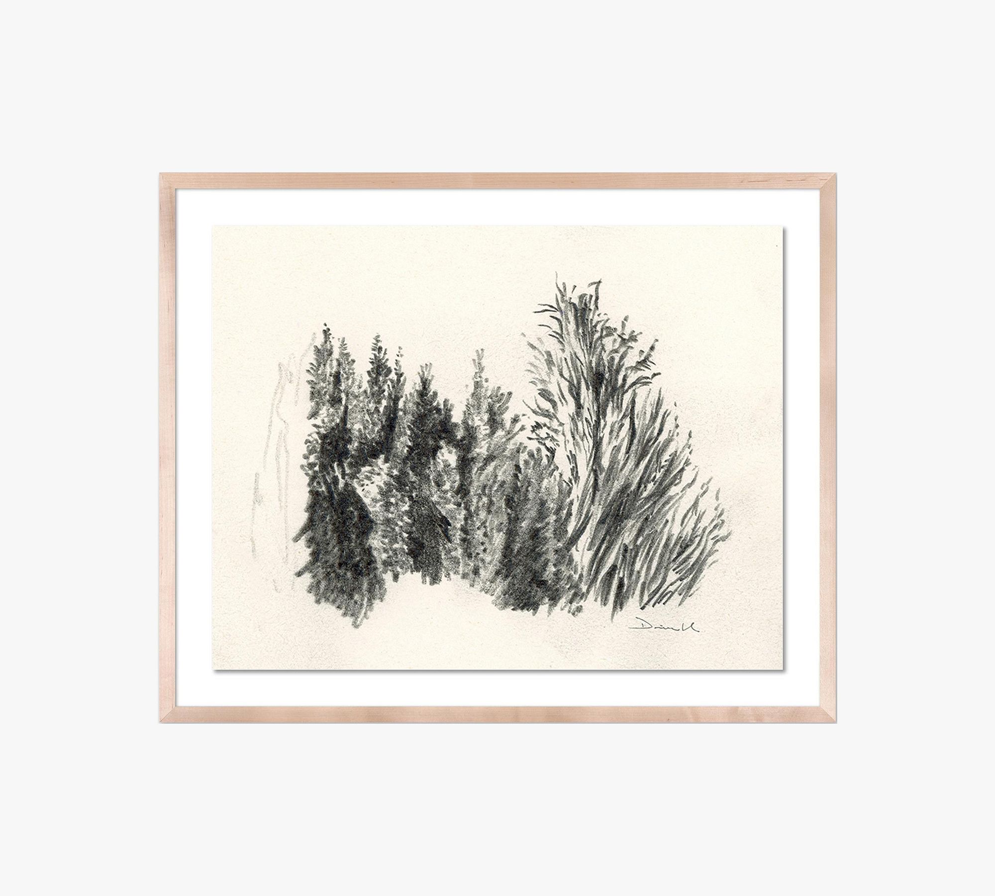 Tree Sketch By Dan Hobday with Maple Frame