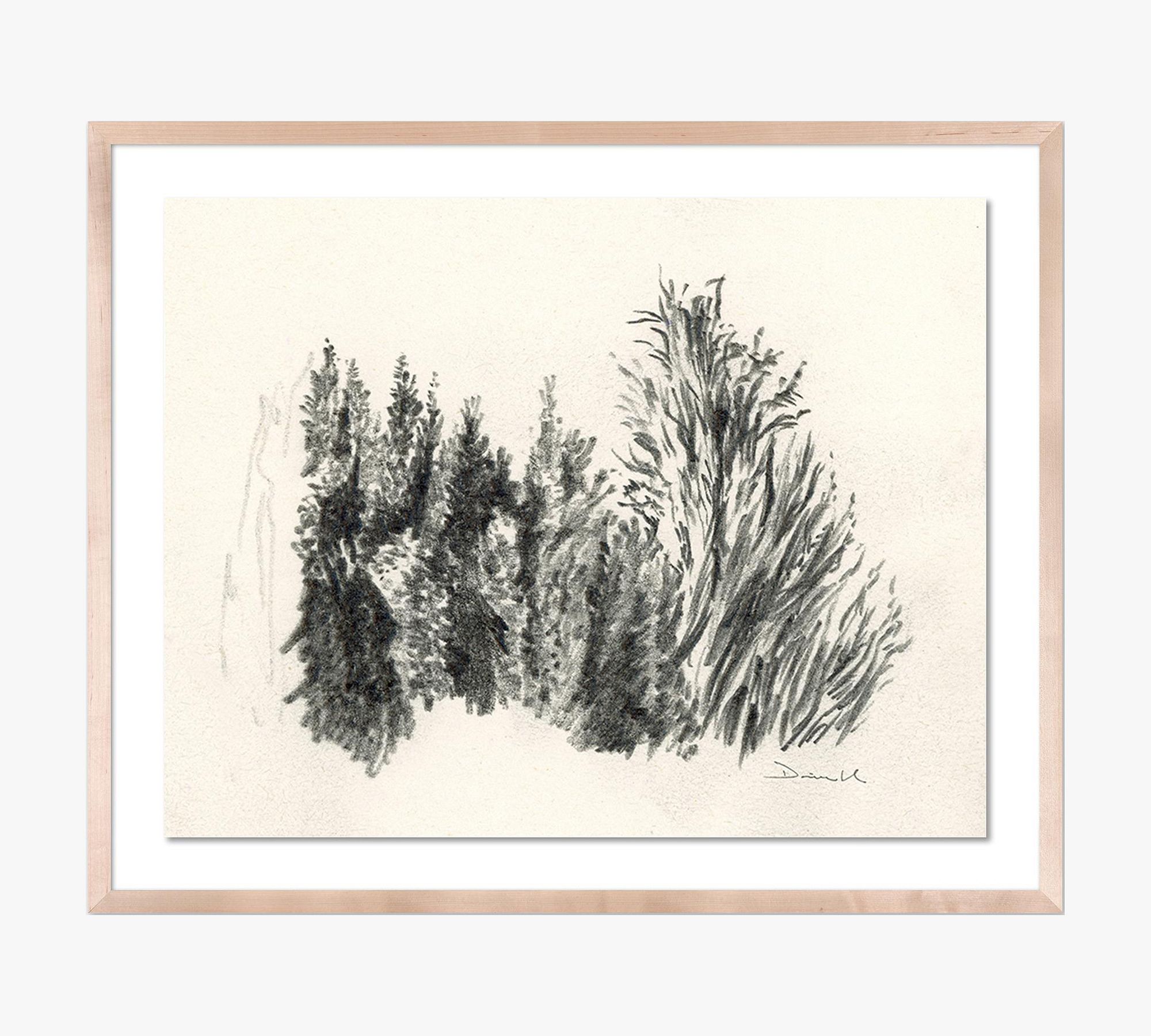Tree Sketch By Dan Hobday with Maple Frame
