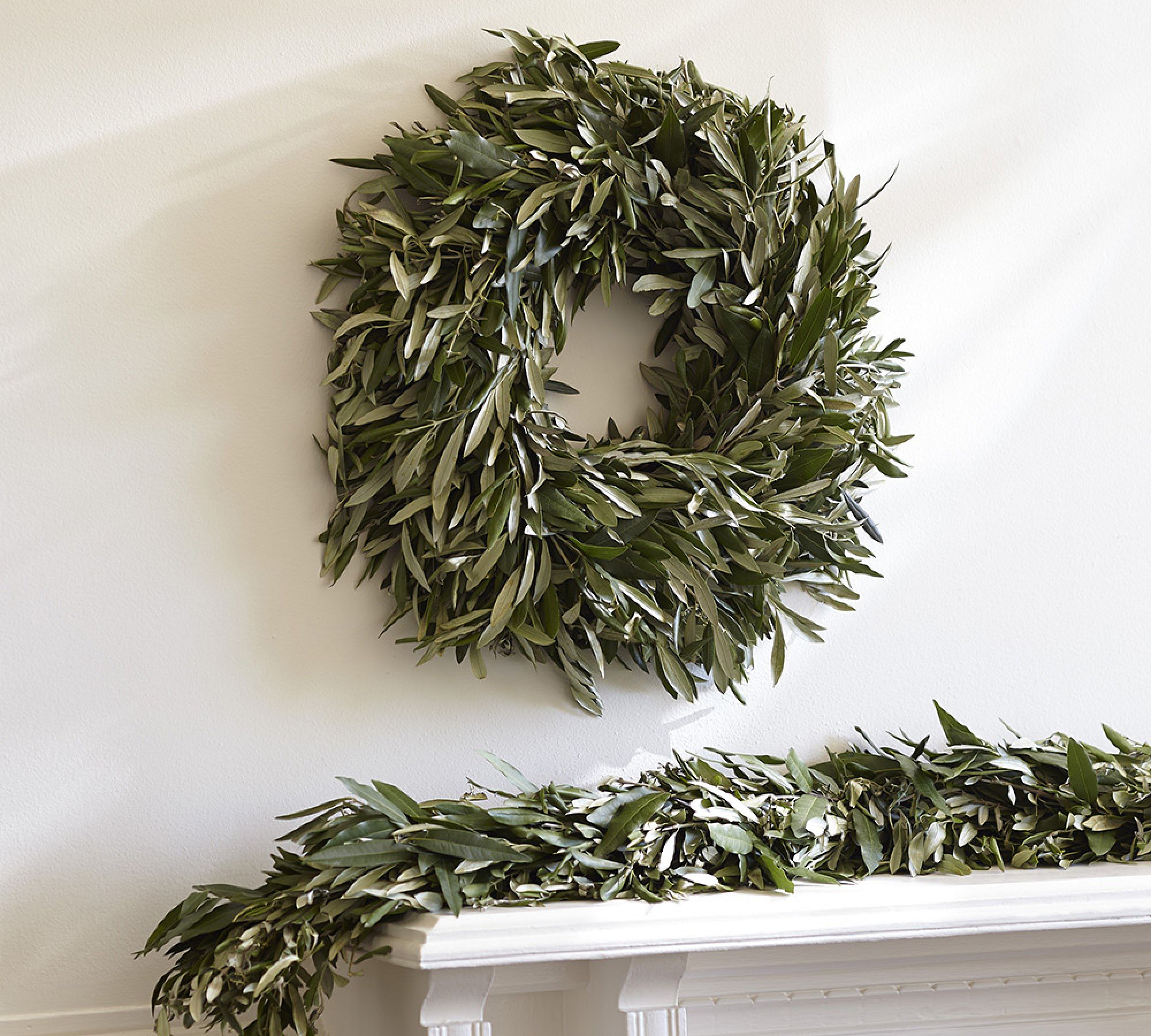 Live Olive Leaf and Myrtle Wreath & Garland