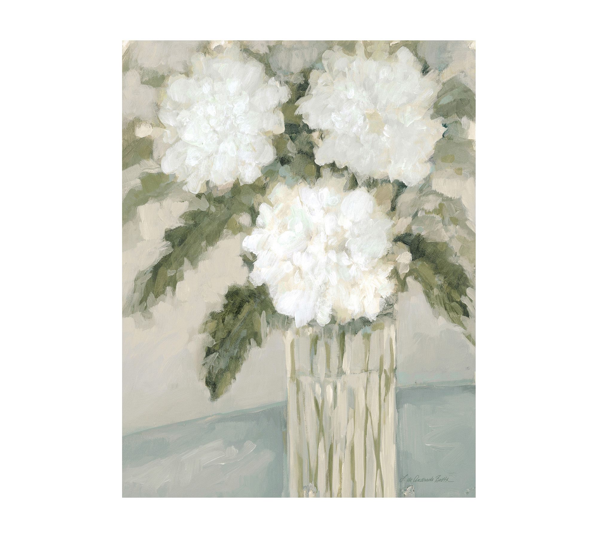 White Hydrangeas Canvas Print