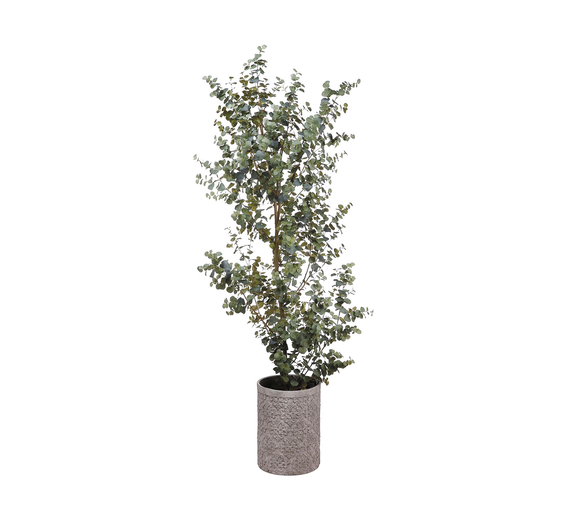 Faux Eucalyptus Tree Cement Planter - 8'