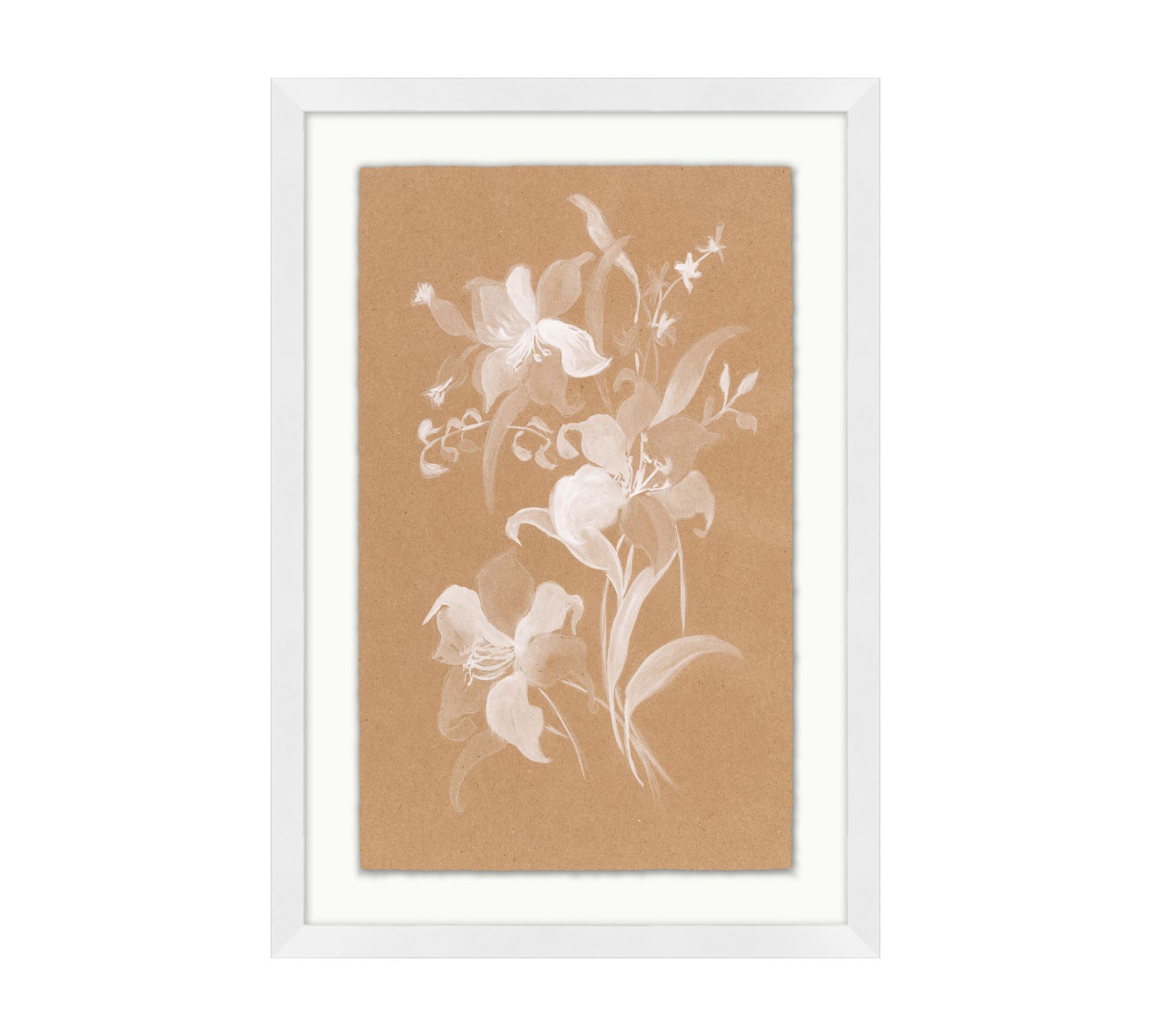 Chalk Botanical Framed Print