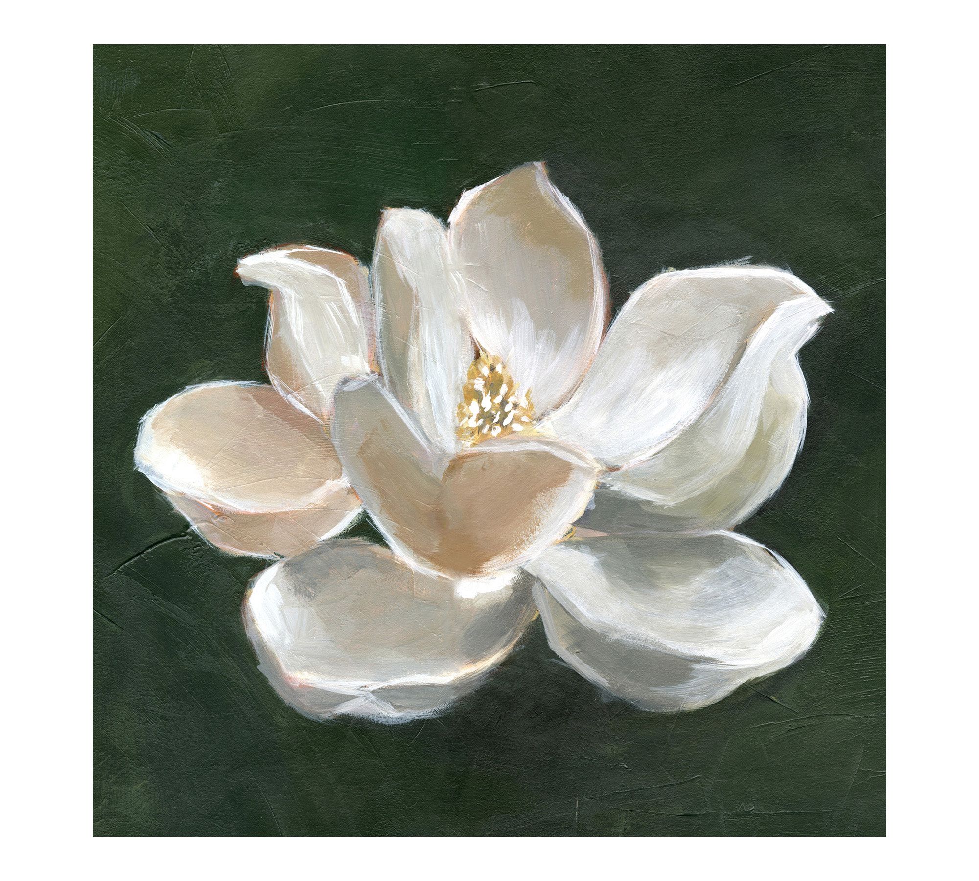 Magnolia Canvas Print