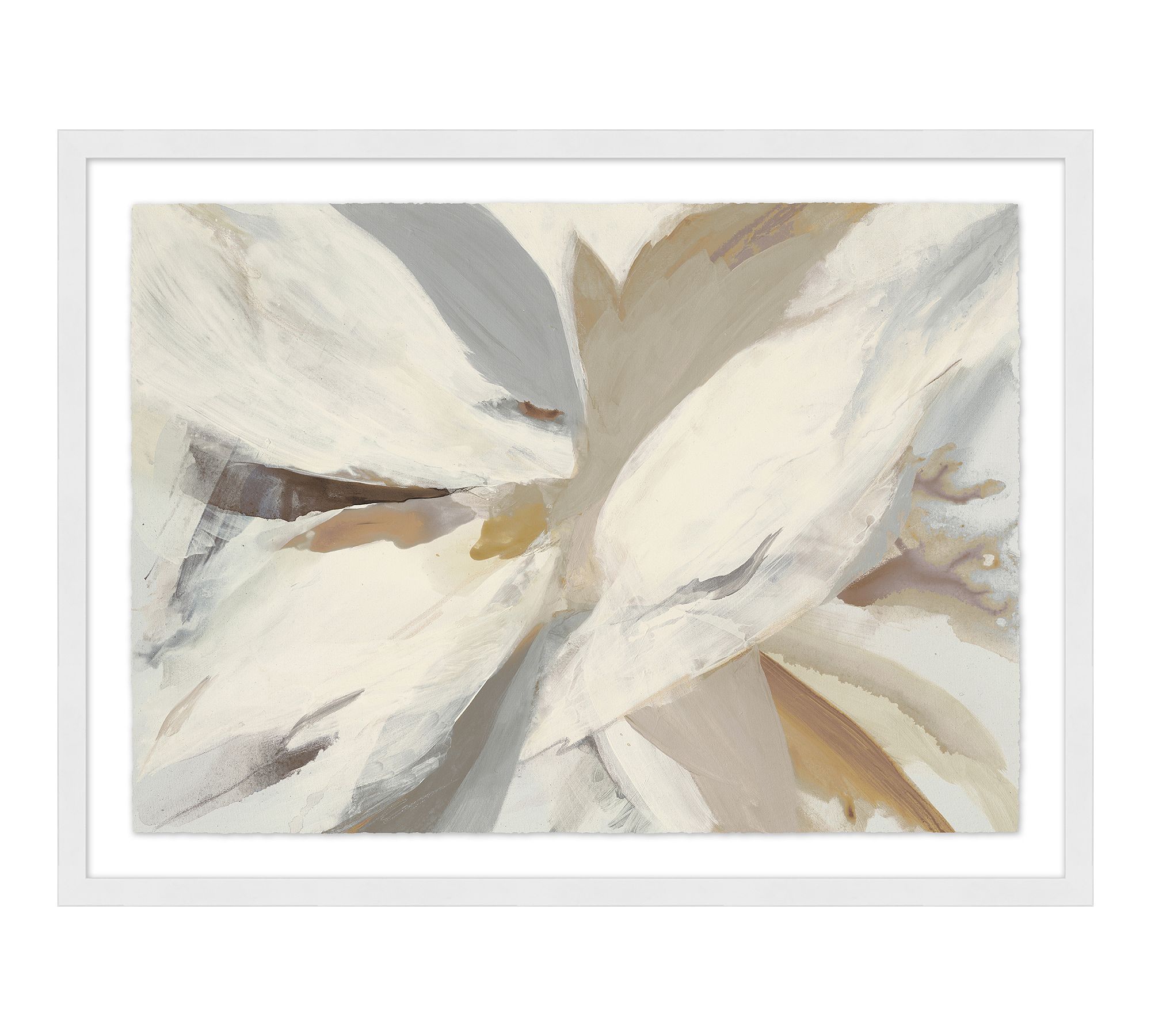 Petal White Framed Print