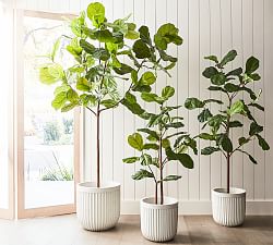 Faux Fiddle Leaf Fig Trees