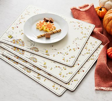 Pottery Barn Cork Placemats