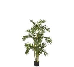 Faux Narrow Areca Palm Trees | Pottery Barn