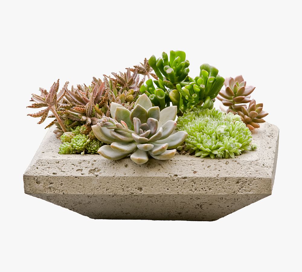 Merlin Square Planter