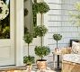 Lit Faux Boxwood Topiary