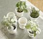 Assorted Mini Clay Cachepots - Set of 6