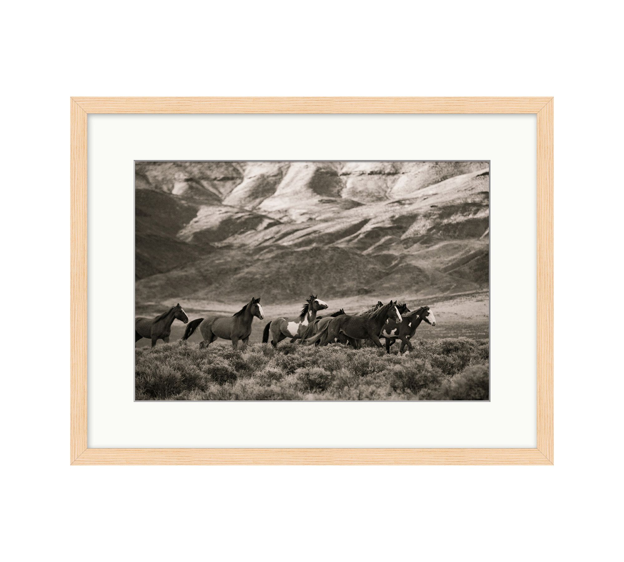 Herd of the Eastern Sierra by Meg Haywood Sullivan