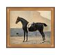 Elegant Midnight Horse Canvas Wall Art