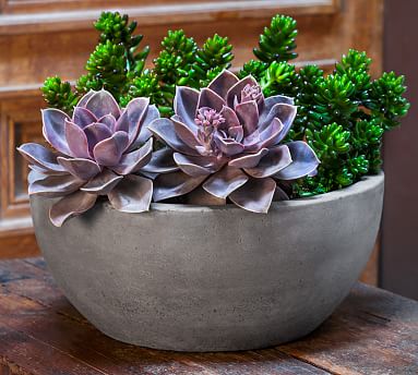 Ace Fiber Cement Bowl Planter | Pottery Barn