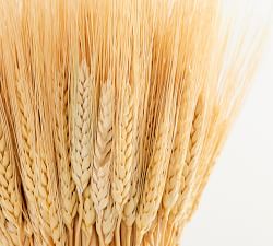 Dried Standing Wheat Bundle