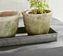 Provence Scalloped Edge Outdoor Planters - Moss