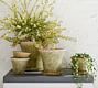 Provence Scalloped Edge Outdoor Planters - Moss