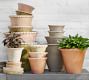Provence Scalloped Edge Outdoor Planters