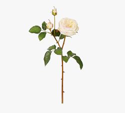 Faux English Charlotte Rose Dozen Stems