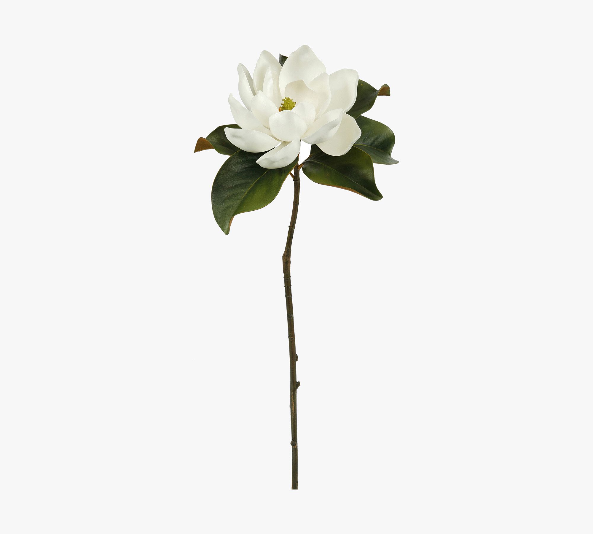 Faux Magnolia Bloom Half Dozen Stems