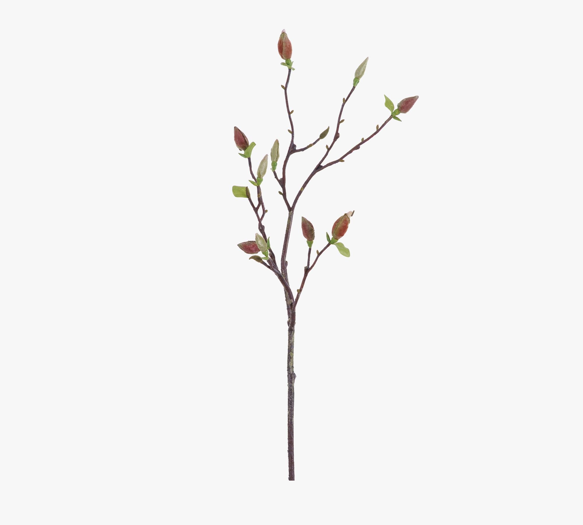 Faux Magnolia Bud Half Dozen Branches