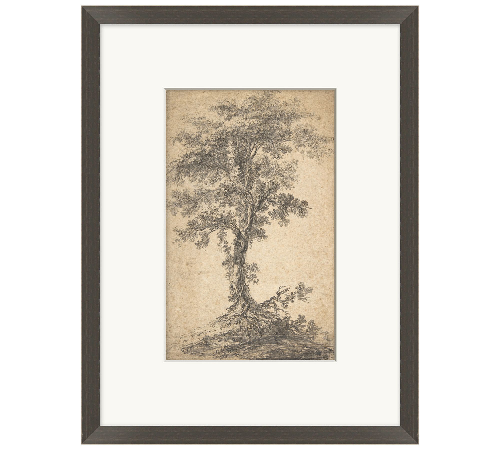Single Tree Framed Print